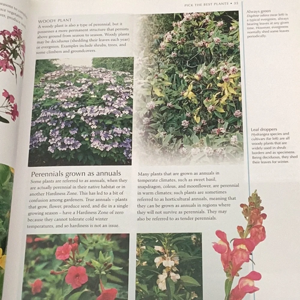 American Horticultural Society successful plants